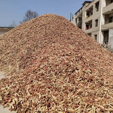 【推荐】玉米芯玉米棒玉米芯粉饲料蘑菇培育基质