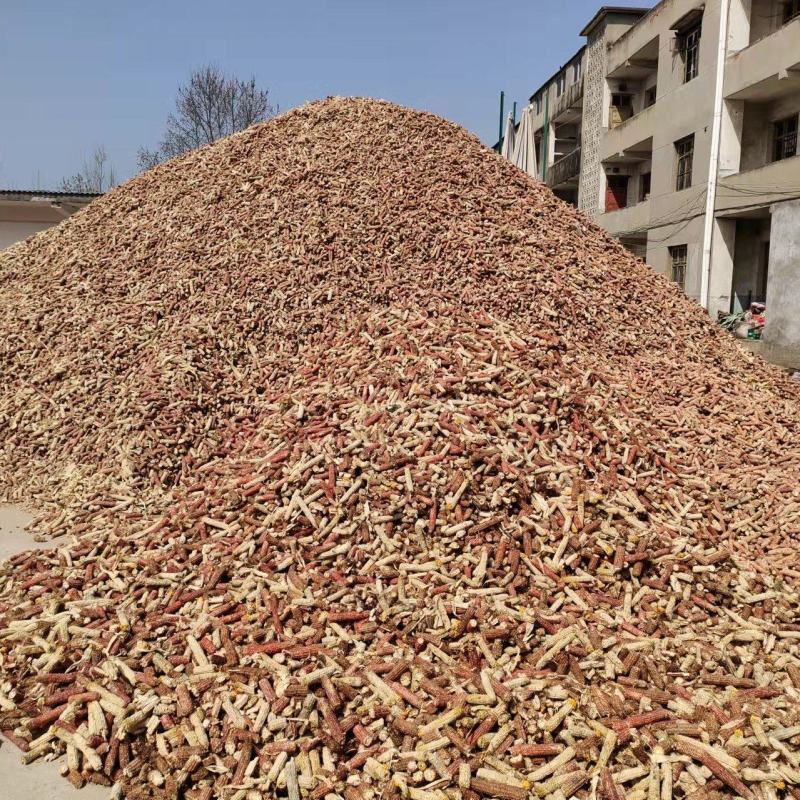 【推荐】玉米芯玉米棒玉米芯粉饲料蘑菇培育基质