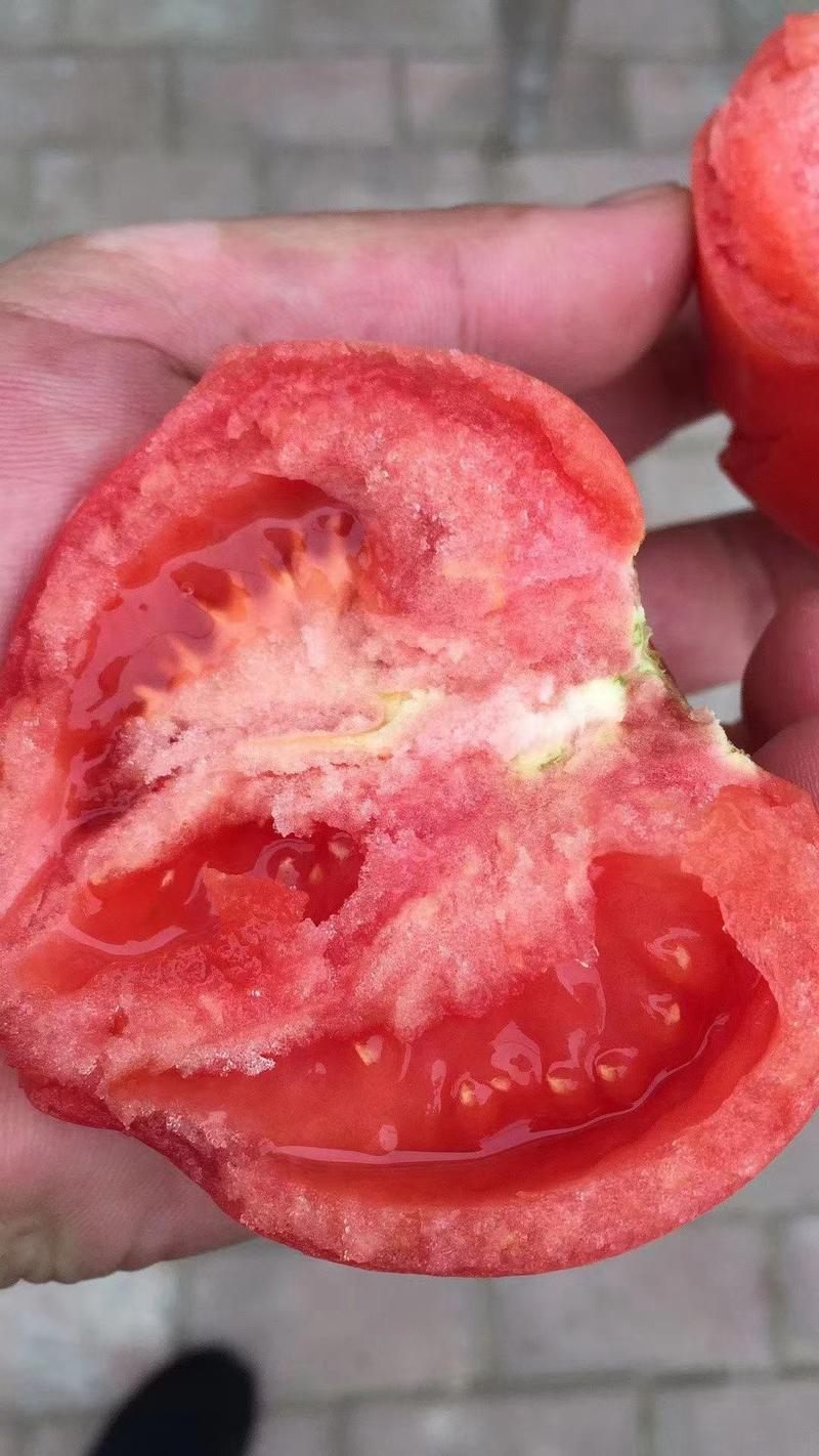 普罗旺斯西红柿山东海阳水果西红柿整车团购超市番茄批发市场