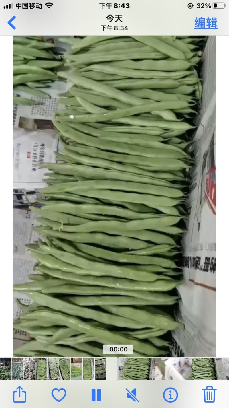 【精品】云南四季豆产地直销一手货源全国发货