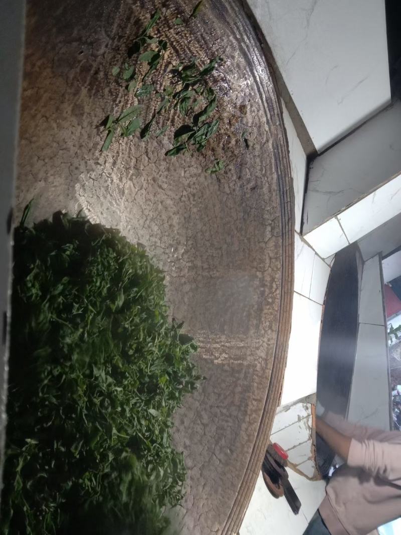 古树茶