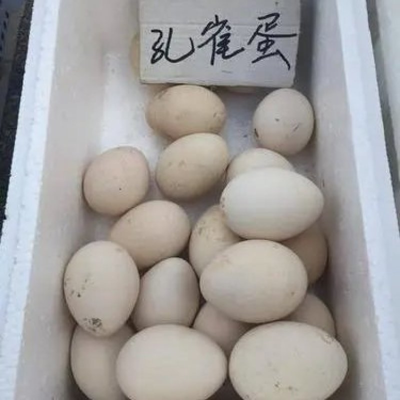 孔雀蛋，食用孔雀蛋没有受精的孔雀蛋，食用孔雀蛋没有