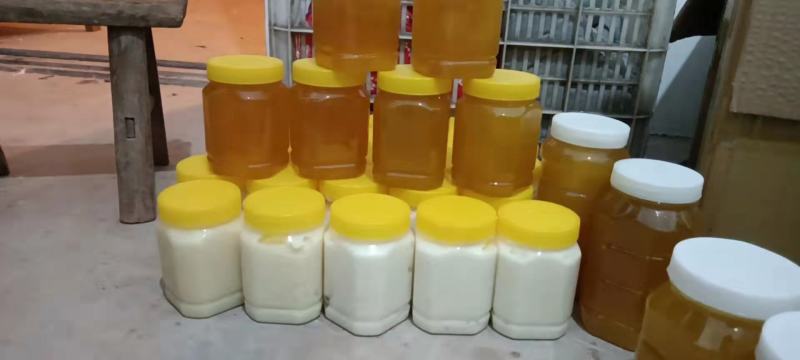 中蜂油菜花蜜没添加任何成分100%纯蜂蜜不掺假