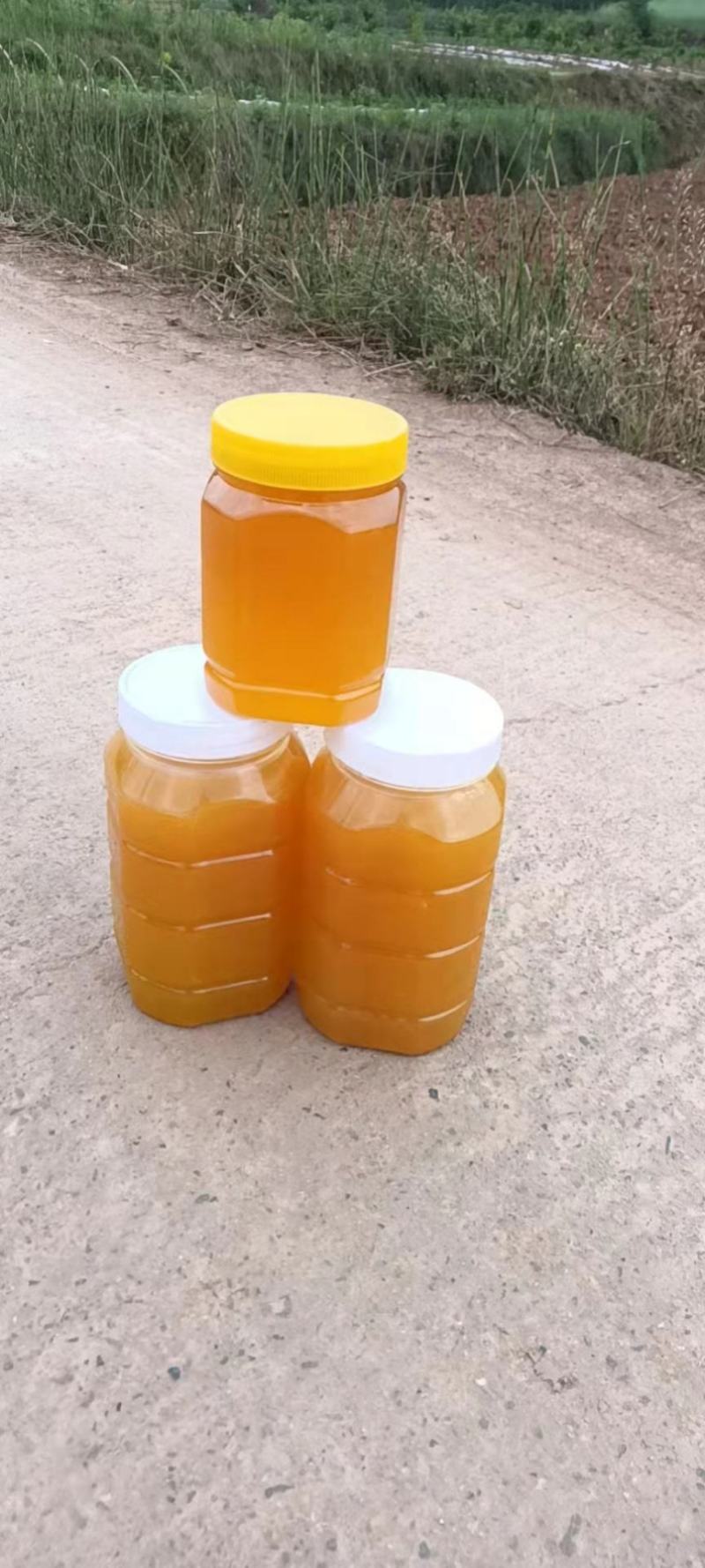 中蜂油菜花蜜没添加任何成分100%纯蜂蜜不掺假