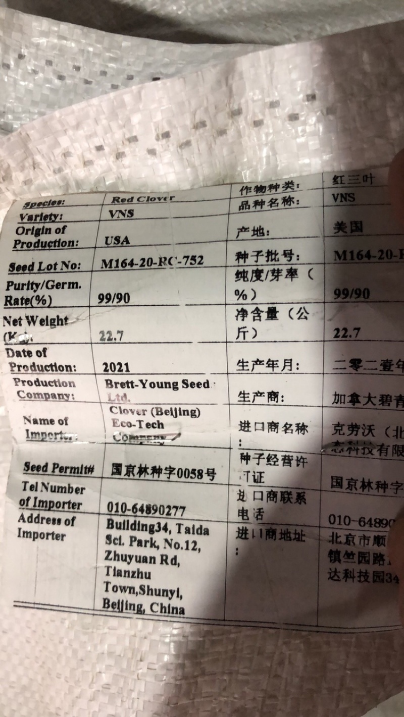 三叶草种子四季常青种子净籽包衣四季播种易活景区庭院适合