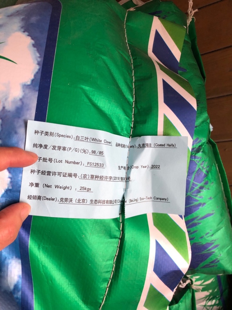 三叶草种子四季常青种子净籽包衣四季播种易活景区庭院适合