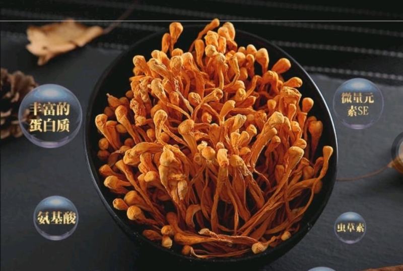 虫草花干货正品天然新鲜金蛹北虫草菇特级孢子头农户批发煲汤