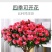 【带花苞发货】杜鹃花盆栽四季开花绿植室内外花卉客厅阳台盆