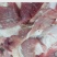 新鲜冷冻猪46猪瘦肉50斤五花肉猪碎肉4肥6瘦猪肉商用包