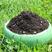 营养土批发绿萝多肉君子兰通用种花养花种菜专用花土壤松针土