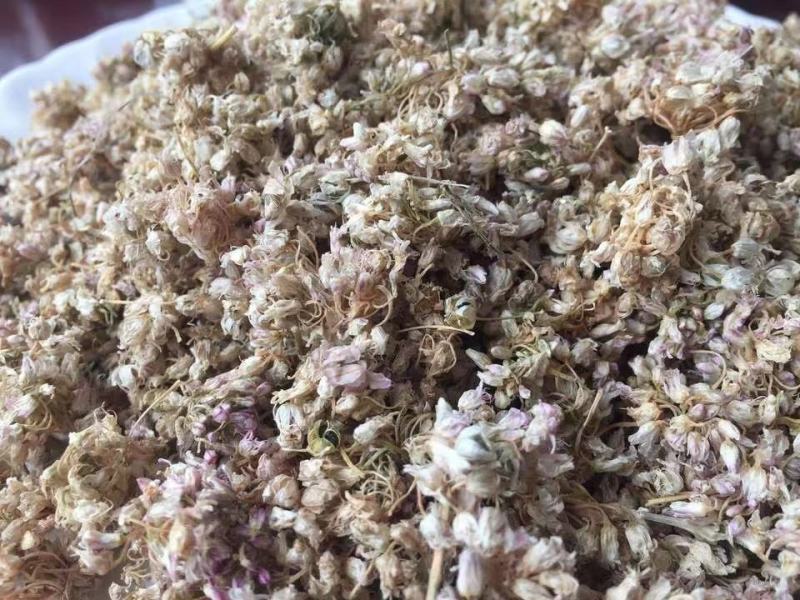 麻麻花扎蒙花麻麻花扎蒙花泽蒙花摘麻花羊胡花山葱花