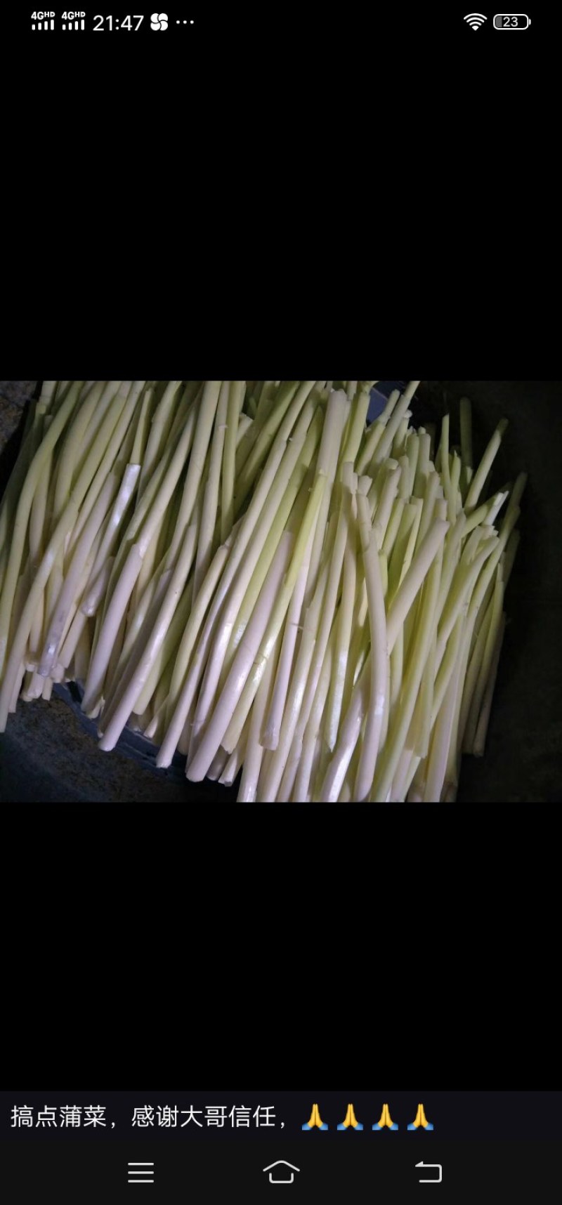 蒲菜，美容养颜来自微山湖深水绿色食品安全可靠，一手货源，