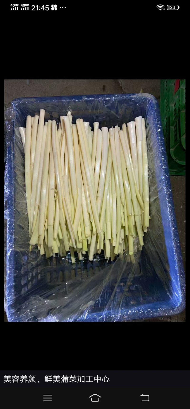 蒲菜，美容养颜来自微山湖深水绿色食品安全可靠，一手货源，