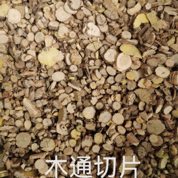川木通