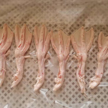 去骨鸭爪，去骨鸭爪，去骨鸭爪，去骨鸭爪，去骨鸭爪