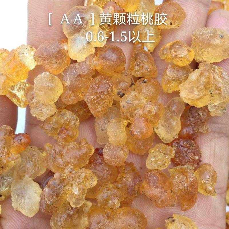 湖北随县桃胶产地纯黄-黄红统货爆米花一手货源大量现货批发
