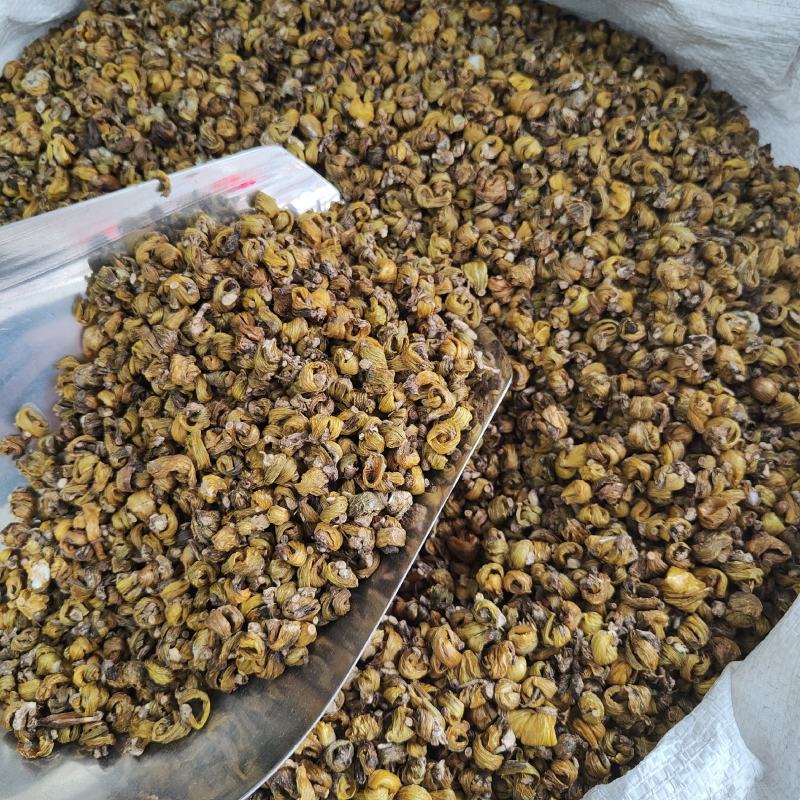 铁皮石斛5年崖壁生长岩珠枫斗颗粒干石斛批发零售