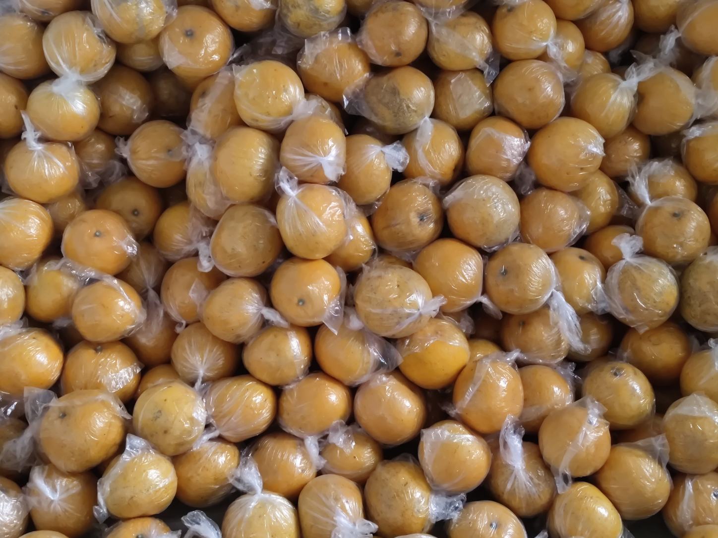 蜜柚产品展示台