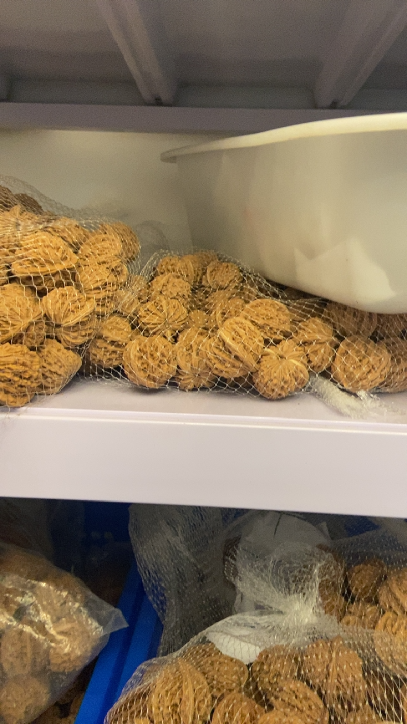 文玩核桃
