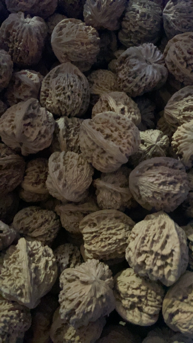 文玩核桃