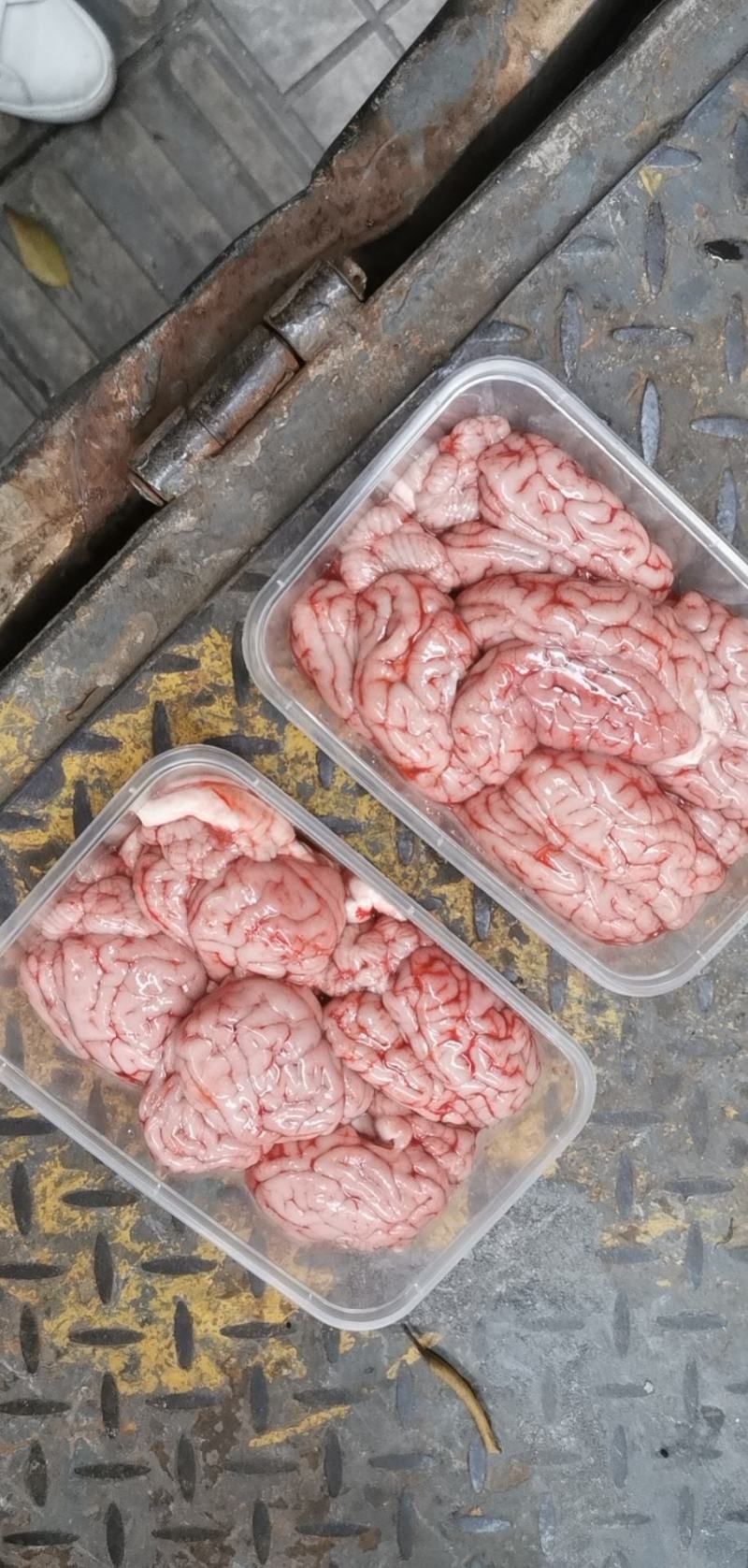 鲜脑花，新鲜，每天现宰标猪，诚信合作，质量保证，每天发货