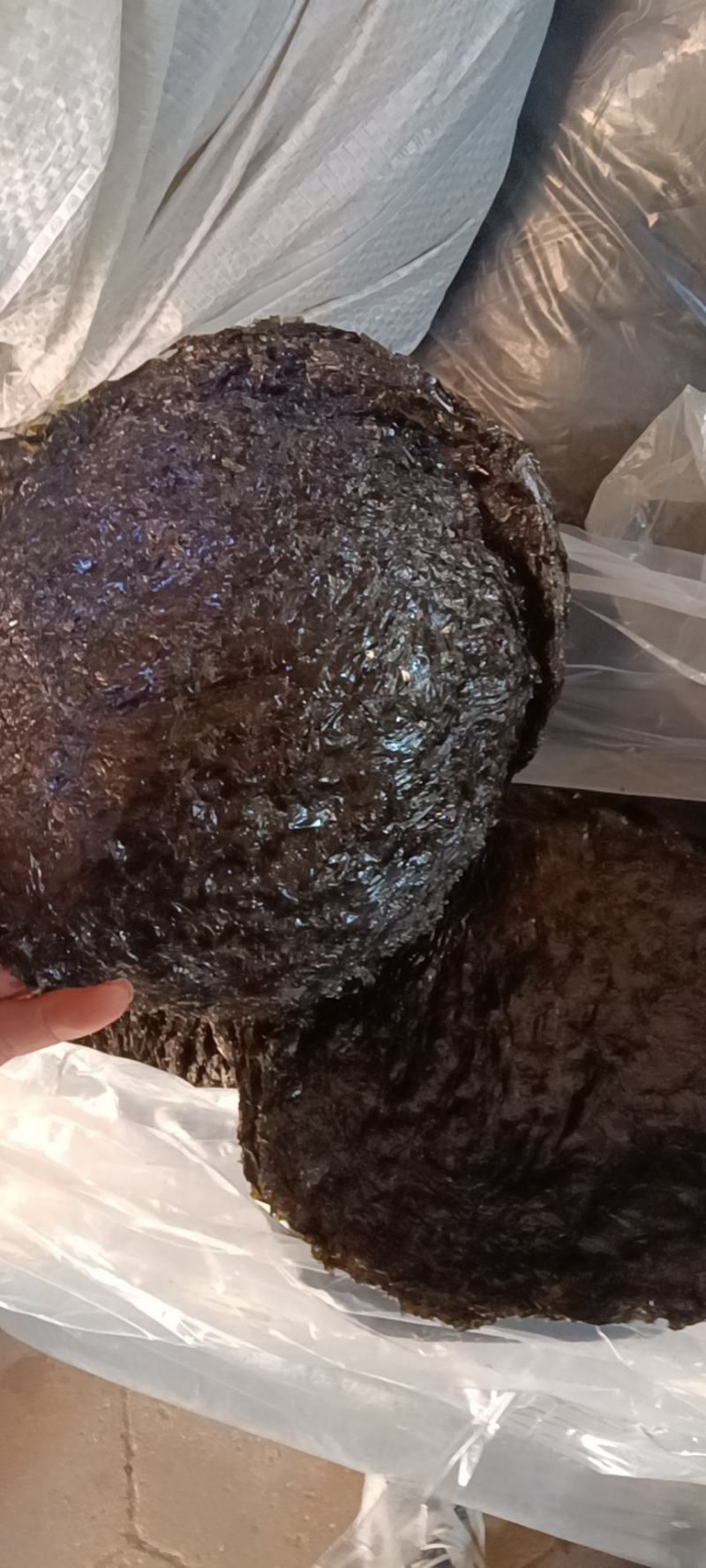 50克一包(7克紫菜+43克调料)无沙免洗干货批发代发