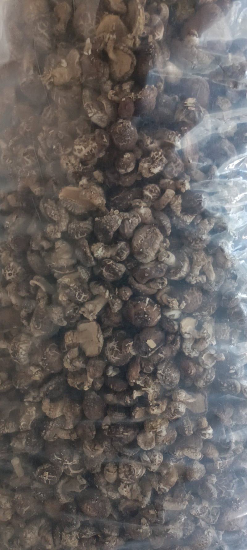 泌阳花菇麻花三到六公分农户自产自产量大价优