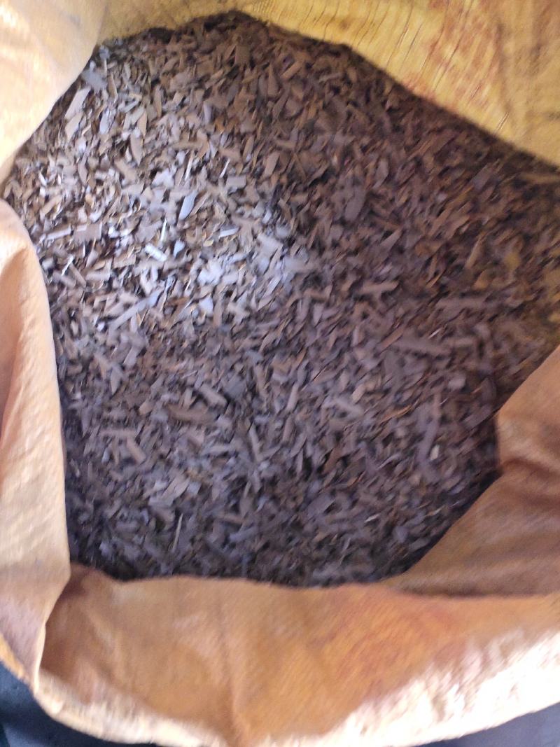 长白山区鬼箭羽，大量有货欢迎来电咨询订购