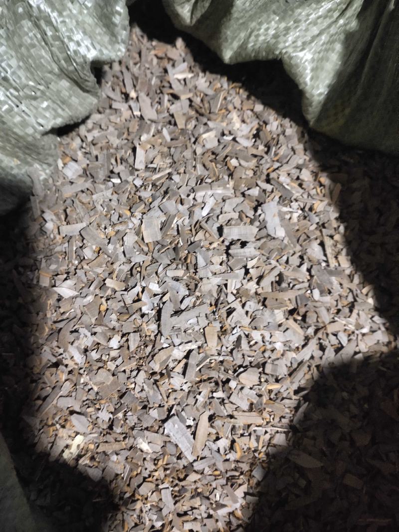 长白山区鬼箭羽，大量有货欢迎来电咨询订购