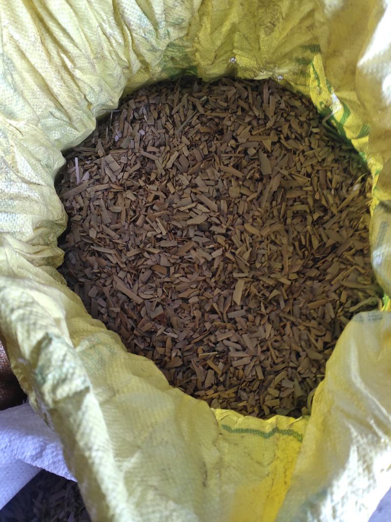 长白山区鬼箭羽，大量有货欢迎来电咨询订购