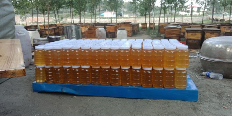 太行山荆花，槐花纯蜂蜜，质优价廉