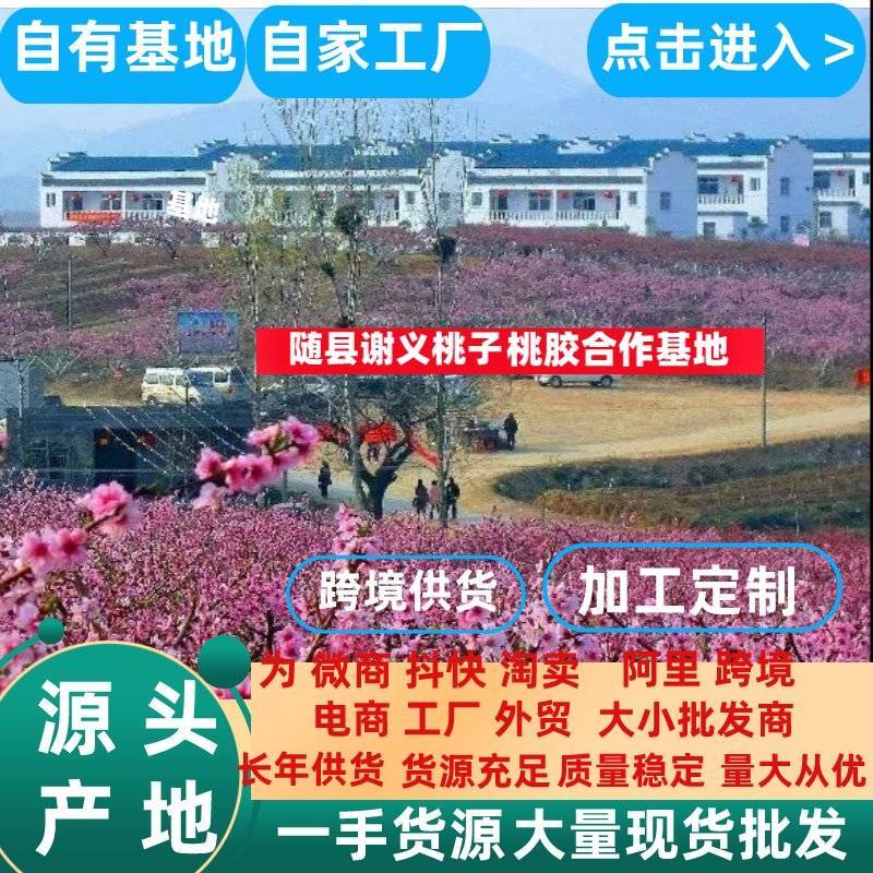 桃胶自家基地自有工厂机磨水洗黄红大中小圆珠桃胶大量批发
