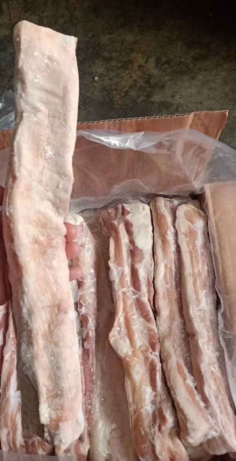 冻猪产品