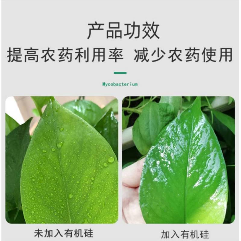 百士威纯正农用有机硅迅速扩展高渗透增效剂10克