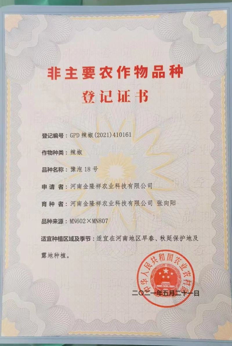 豫泡18辣椒种子全国包邮抗病高产坐果集中30多个