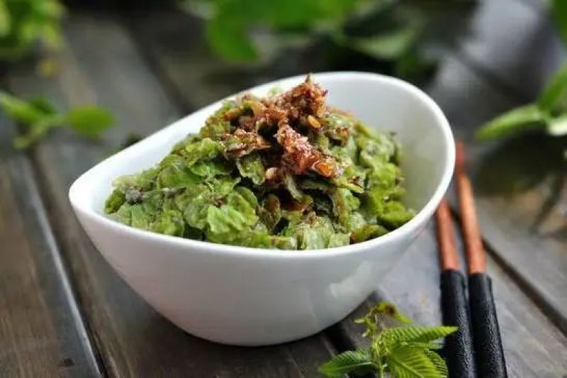 新鲜榆钱