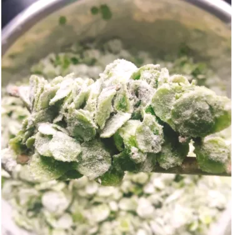 新鲜榆钱