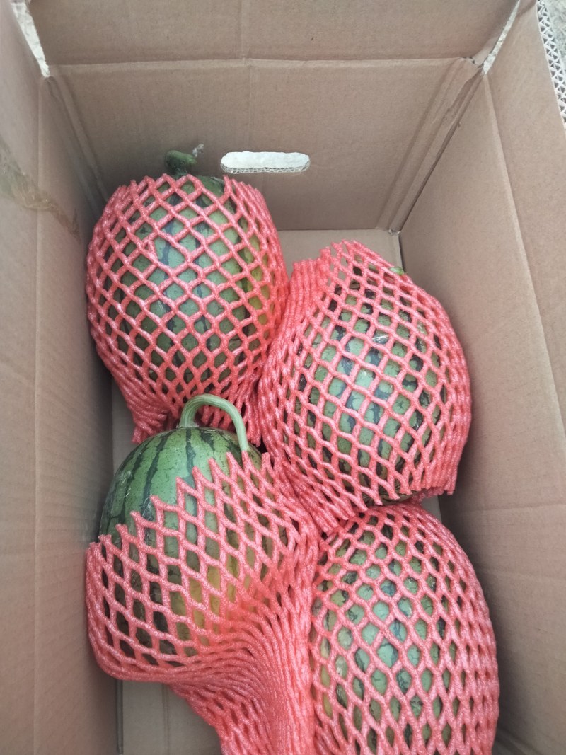 小糖丸，2K，4K，早春红玉，货源充足，质量**，