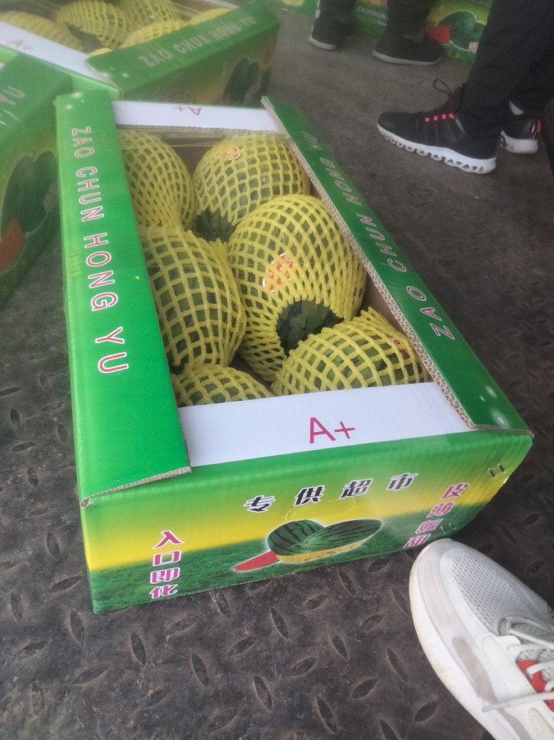 小糖丸，2K，4K，早春红玉，货源充足，质量**，