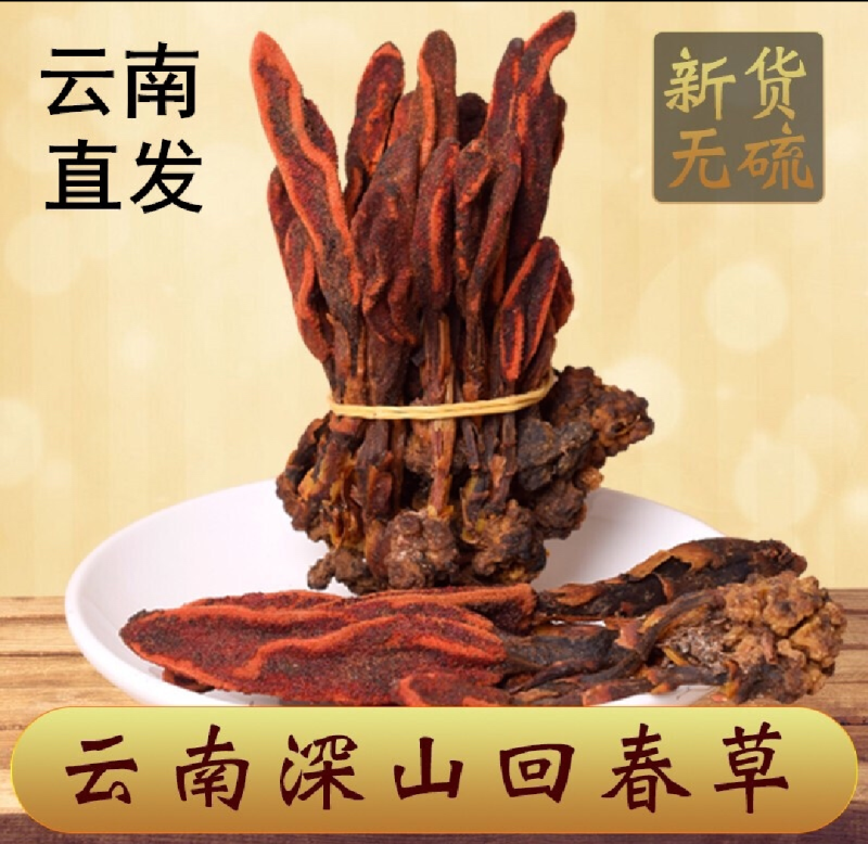 回春草草苁蓉不老草无硫无杂质泡水泡酒放心喝
