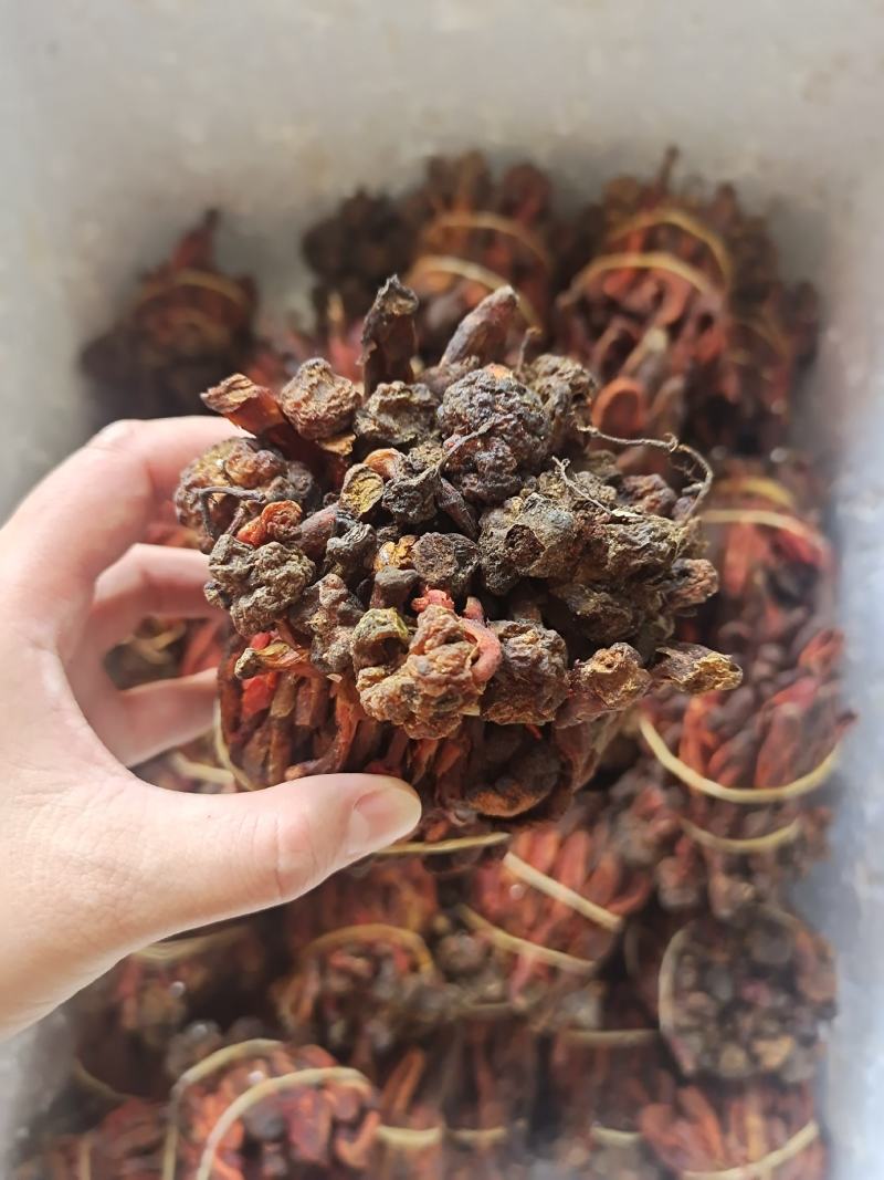 回春草草苁蓉不老草无硫无杂质泡水泡酒放心喝
