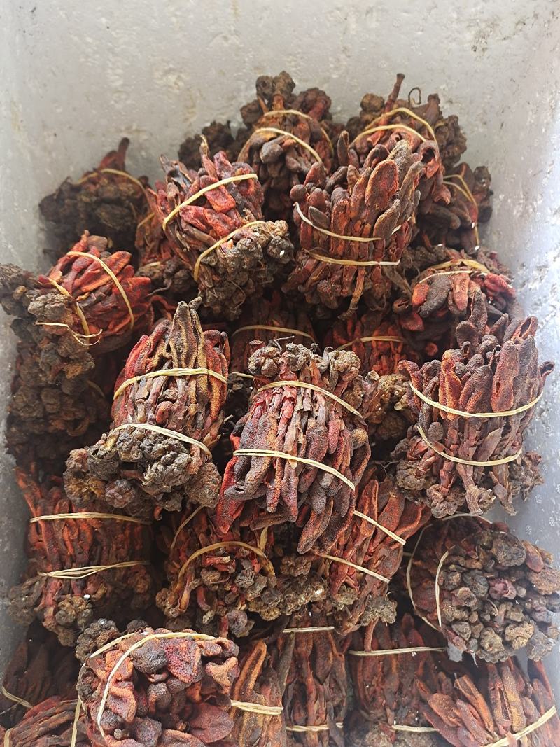 回春草草苁蓉不老草无硫无杂质泡水泡酒放心喝