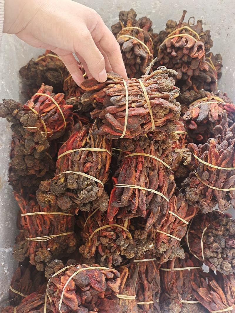 回春草草苁蓉不老草无硫无杂质泡水泡酒放心喝