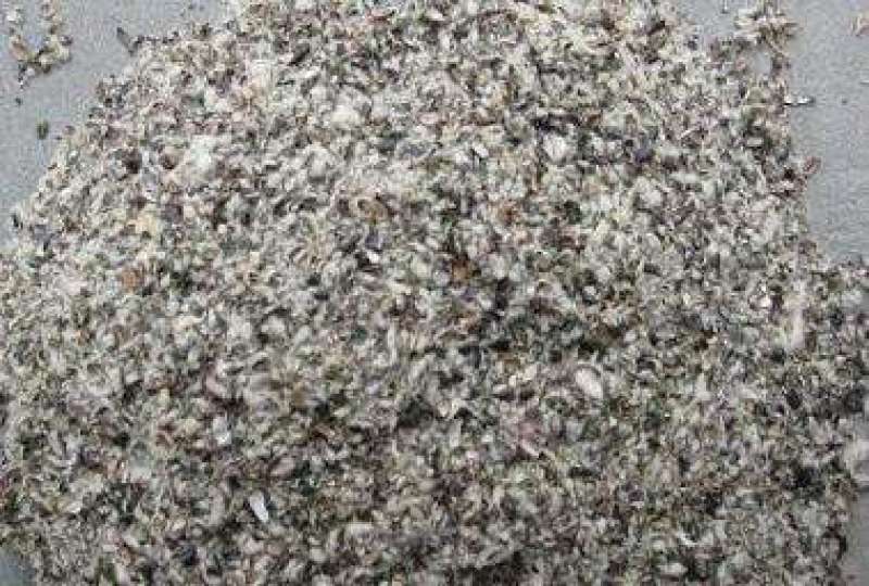 供应棉仔壳新疆棉壳，河北棉壳食用菌棉壳