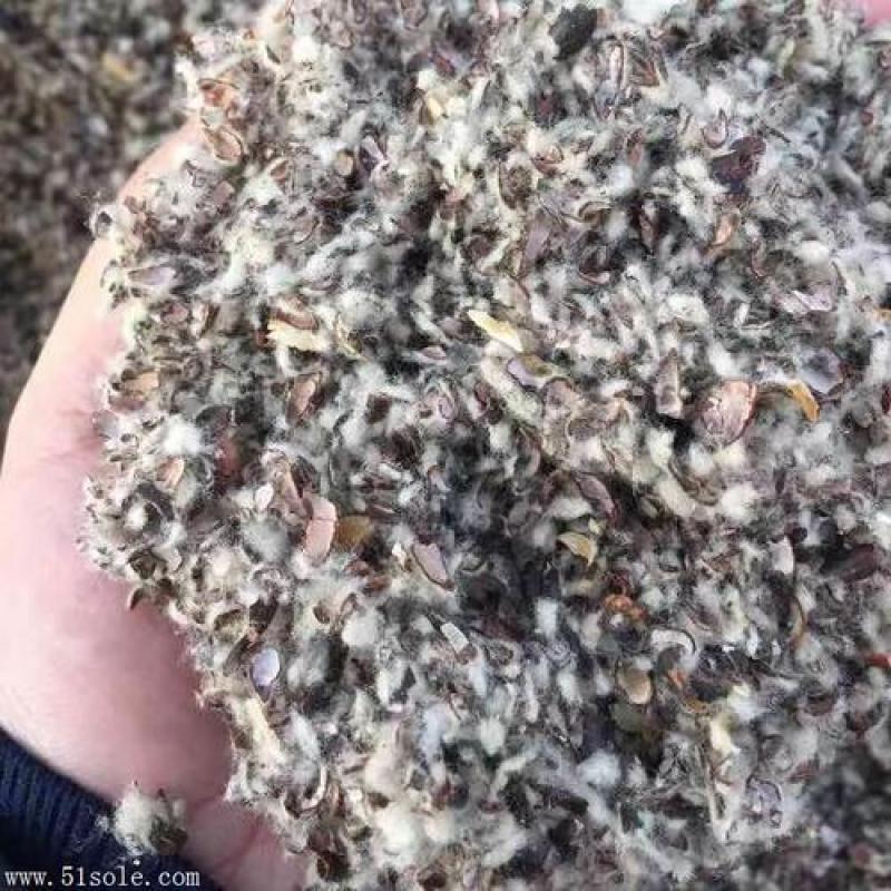 供应棉仔壳新疆棉壳，河北棉壳食用菌棉壳