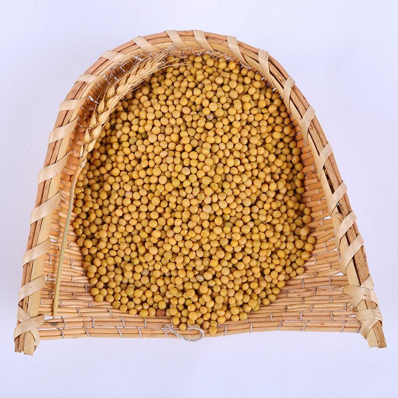 芽豆现货供应珍珠黄豆芽豆豆芽豆芽黄豆袋装79斤
