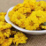 【精品】怀菊花药用菊花菊花茶品质保证多接各类客户