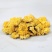 【精品】怀菊花药用菊花菊花茶品质保证多接各类客户