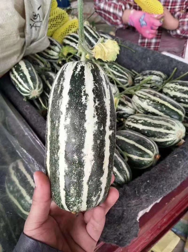 博阳六十一吕