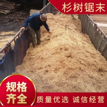 锯末,杉树锯末,不含其它树木,无化学成分,欢迎选购